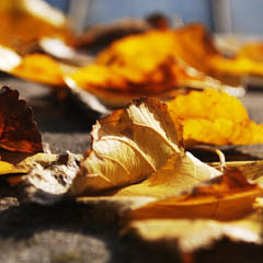 无限拨打手机号软件